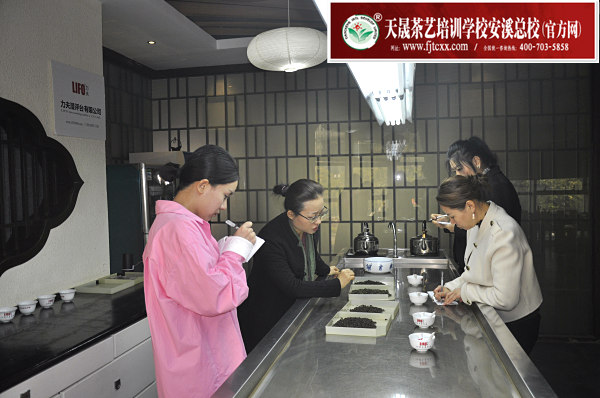 7月高级茶艺师培训班(福建)招生报名中